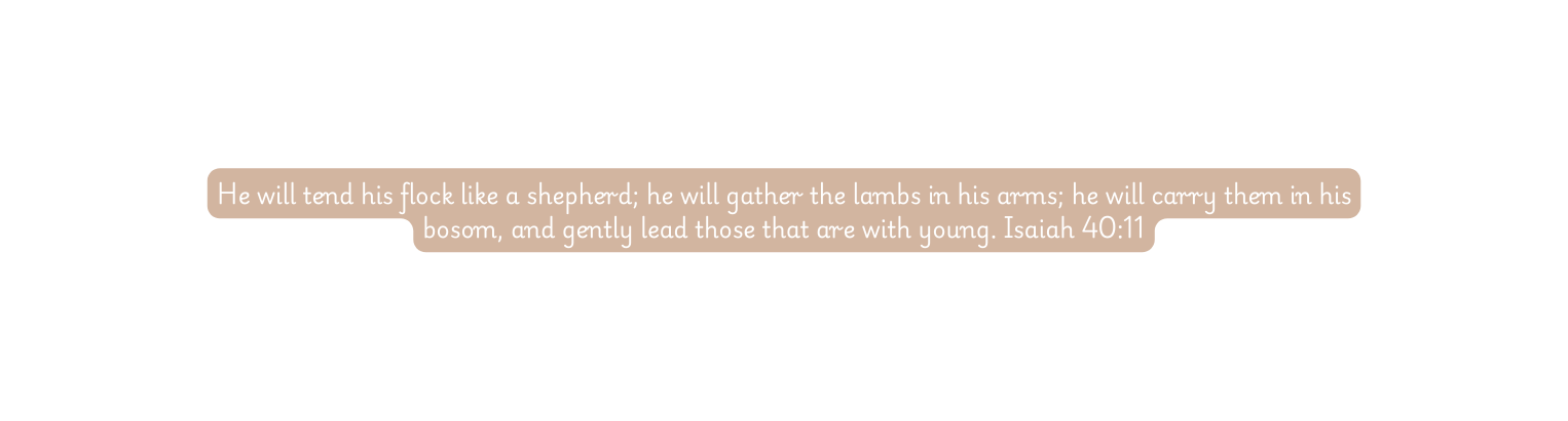 He will tend his flock like a shepherd he will gather the lambs in his arms he will carry them in his bosom and gently lead those that are with young Isaiah 40 11